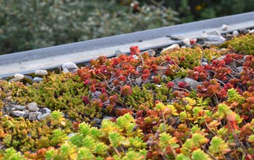 the cost of Blakedown green roof installation
